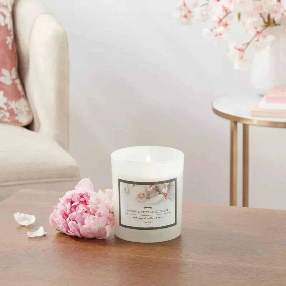 11oz Glass Jar Nordic Holly Frosted Berry Candle Threshold cinnamon spice &pine - Picture 3 of 7